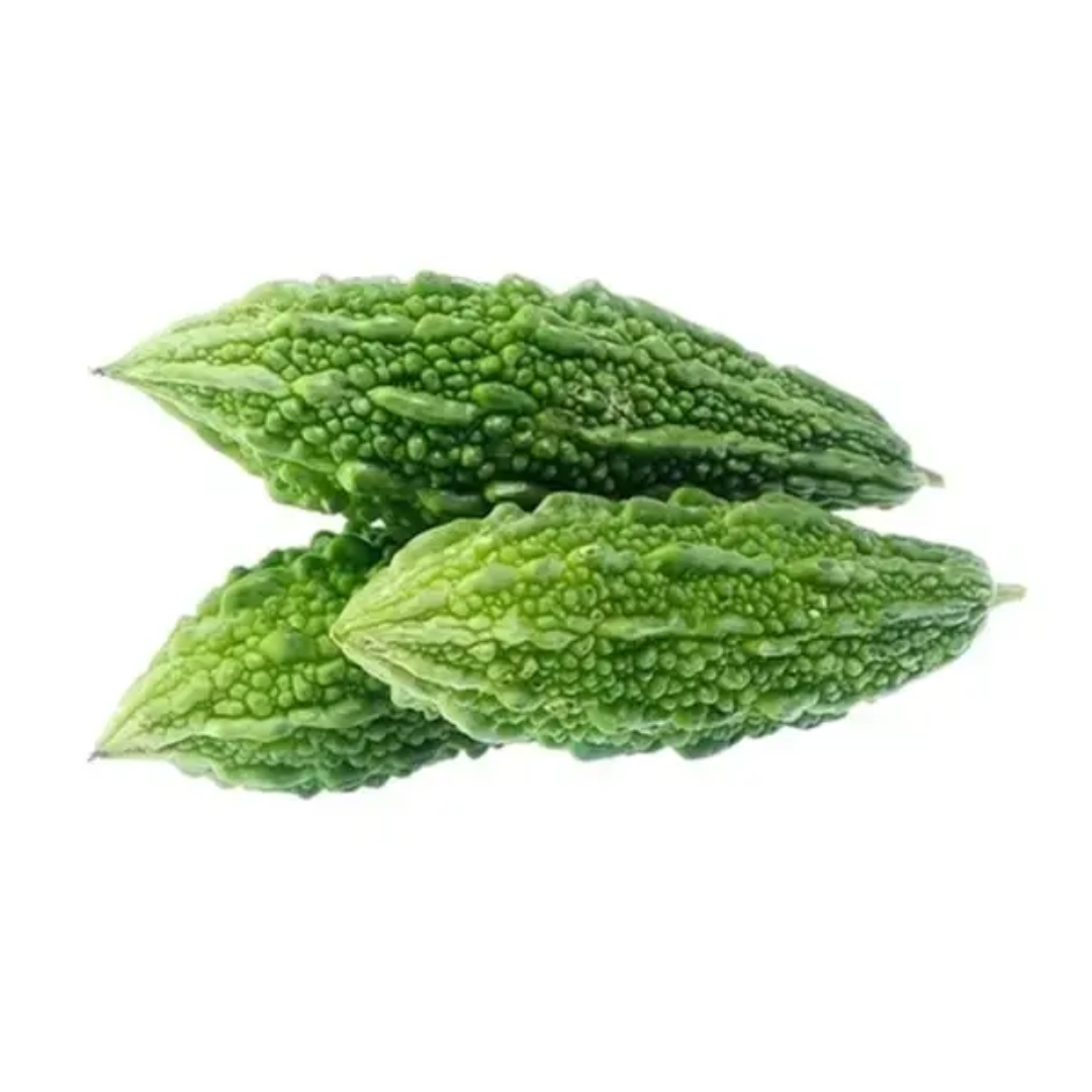 Wholesale Bitter Gourd Iraq